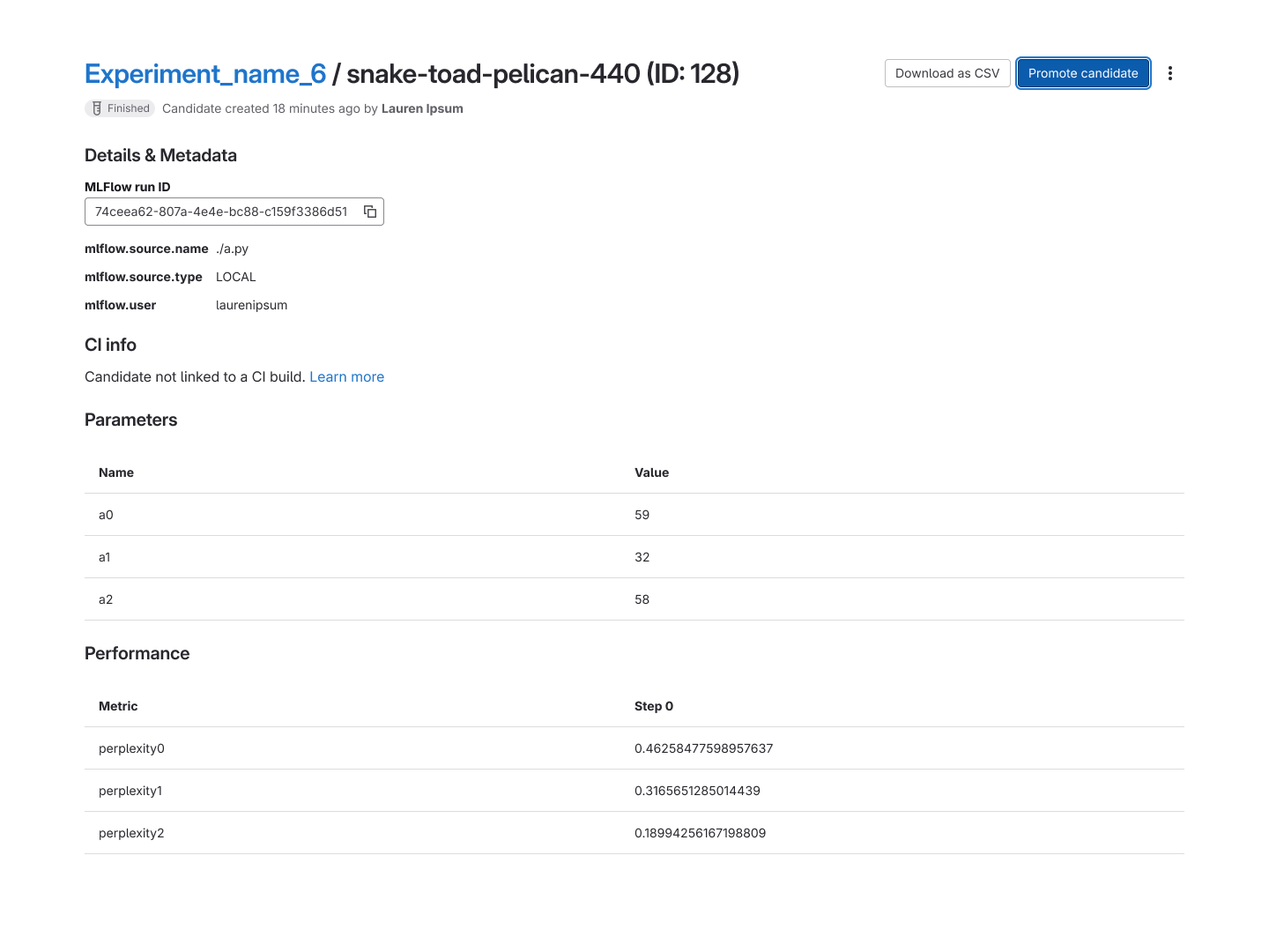 A candidate detail page showing Details and Metadata, CI info, Parameters, and Performance metrics for a specific run.